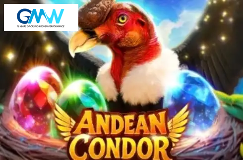 Andean Condor